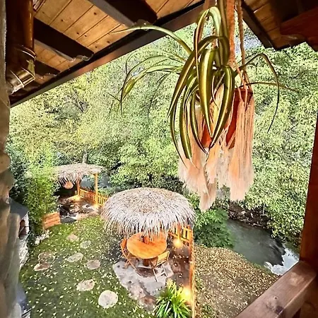 Tatil Evi A Curuxa *