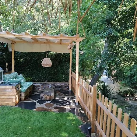 Tatil Evi A Curuxa *