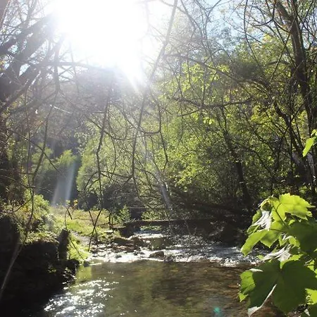 A Curuxa Tatil Evi *